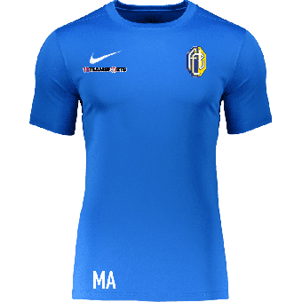 FC Länggasse Nike Park VII Trikot | Erwachsene in Royal Blau  S