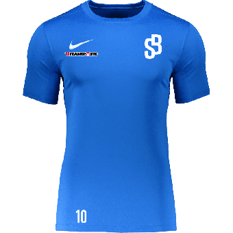 FC Schinznach-Bad Nike Park VII Trikot | Erwachsene in Royal Blau  