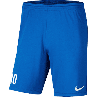 FC Schinznach-Bad Nike Park Short | Erwachsene in blau 
