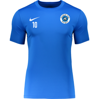 FC Horgen Nike Park VII Trikot für | Erwachsene in blau 