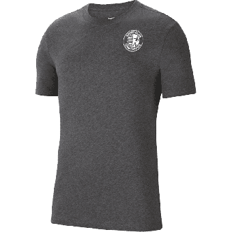 SC Grafenried Nike Park 20 T-Shirt für | Erwachsene in grau 