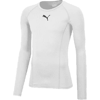 Team Furttal Puma Liga Funktionsshirt langarm | Kinder in weiss 