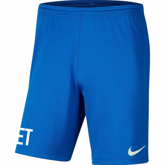 FC Wollishofen Nike Park Short | Erwachsene in blau 